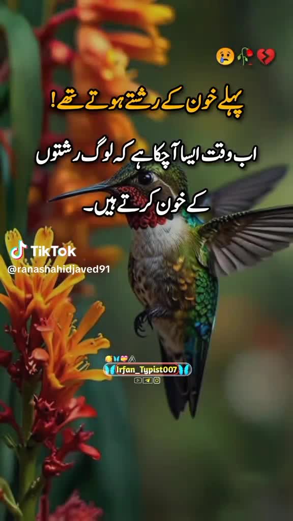 @shaobi7