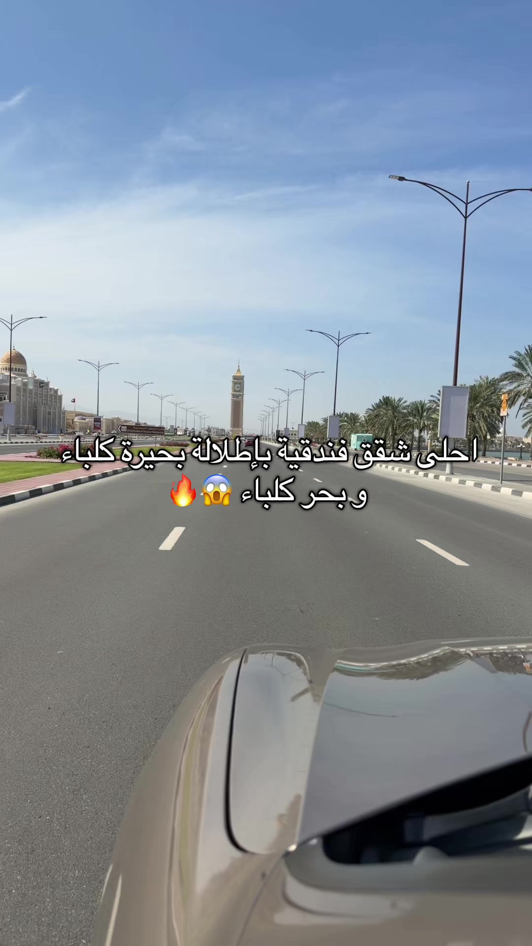 @كنافة 🔥