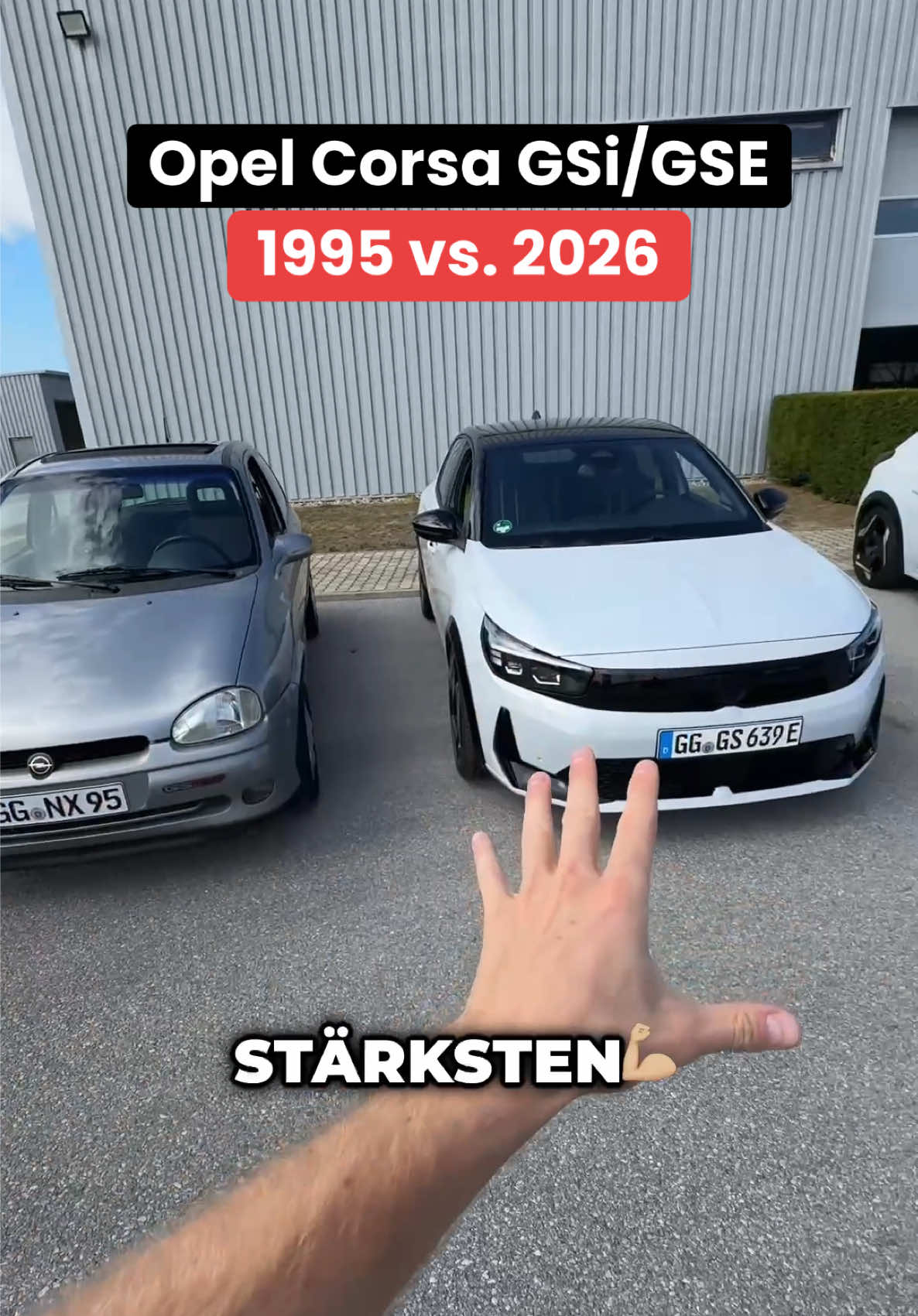 @maltedrivescars