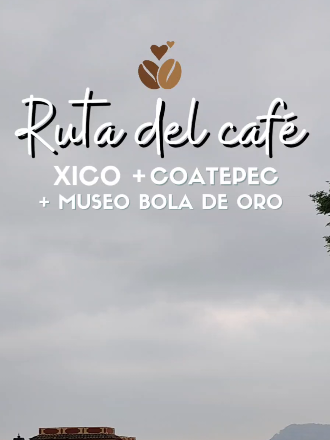 @Dviajeros tours