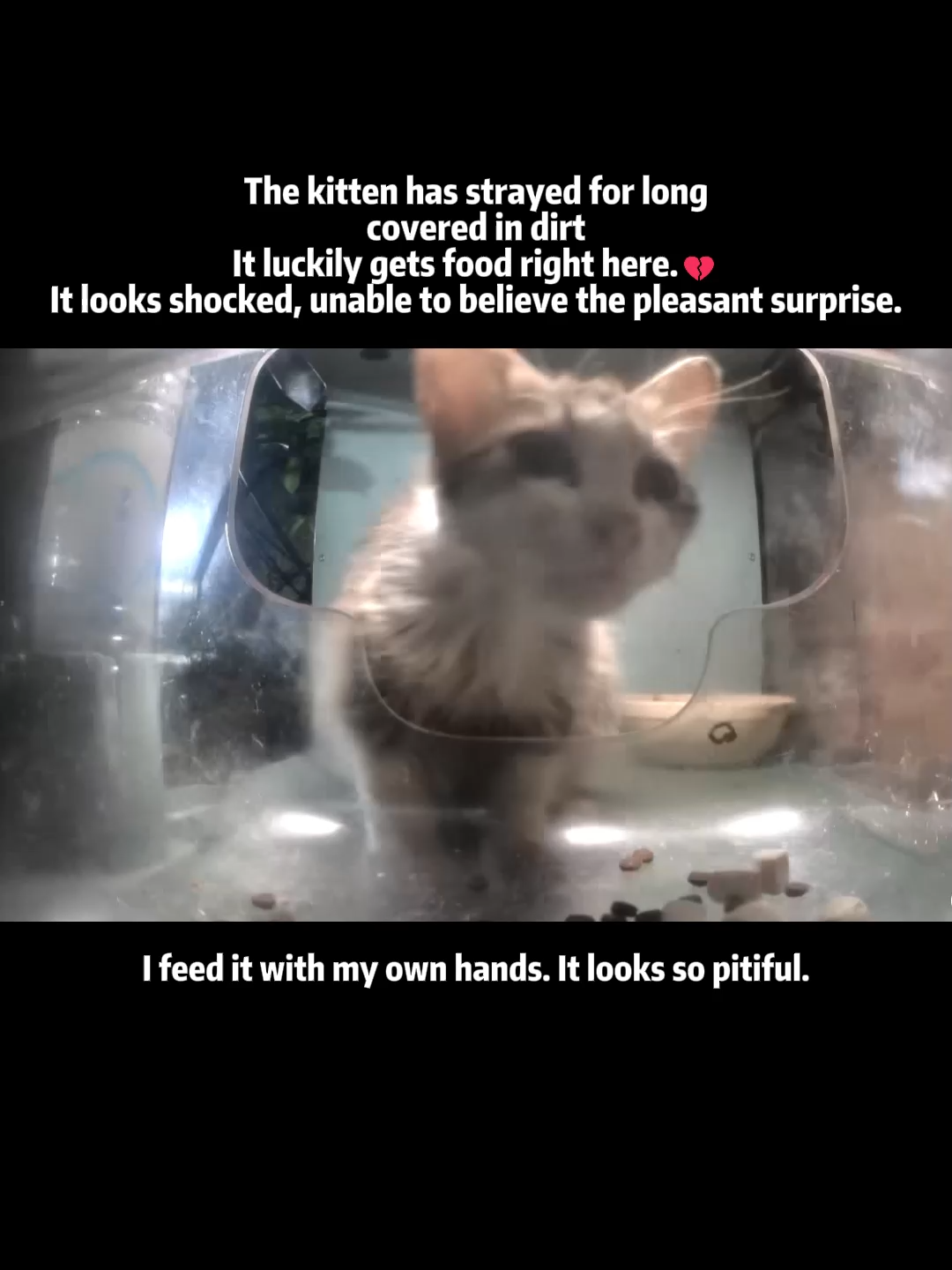 @Purrrr_eliza17