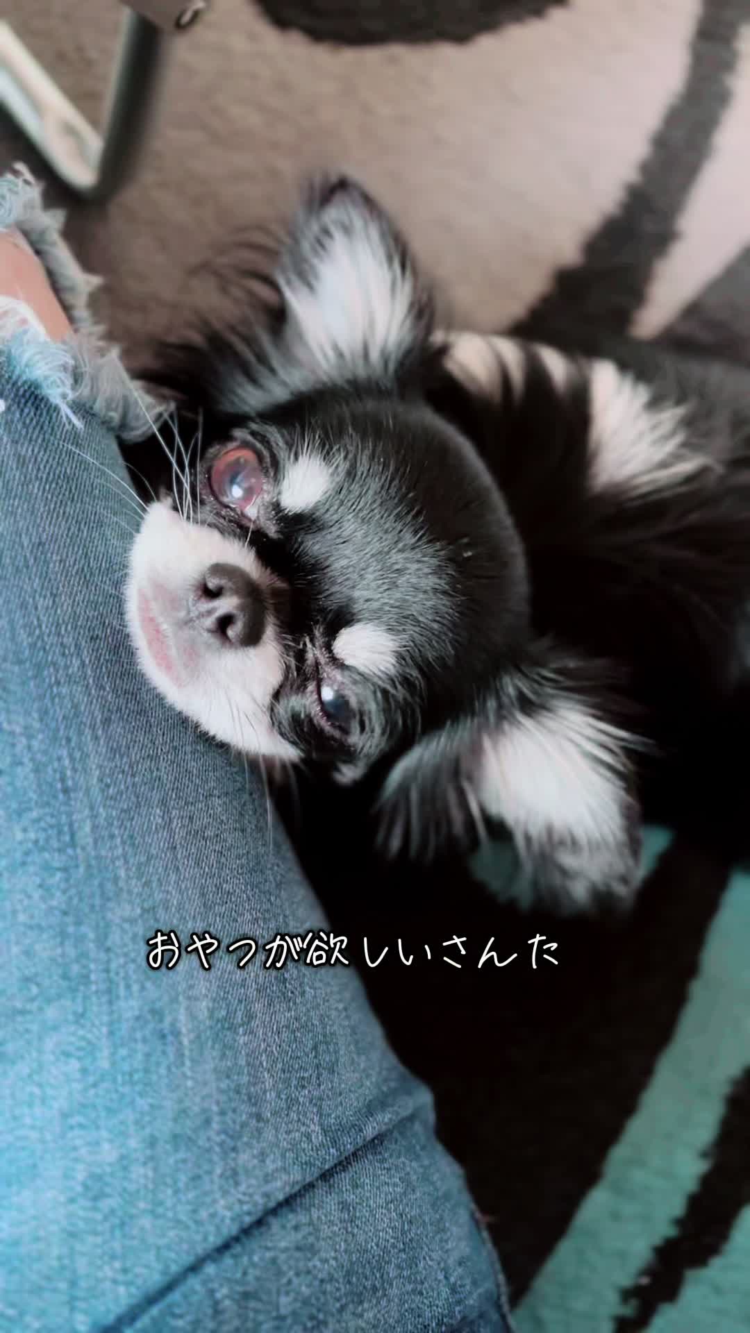 @ayakosansan3