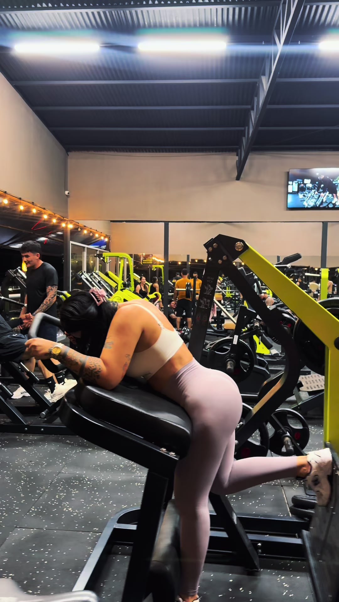@fernandachinchilla
