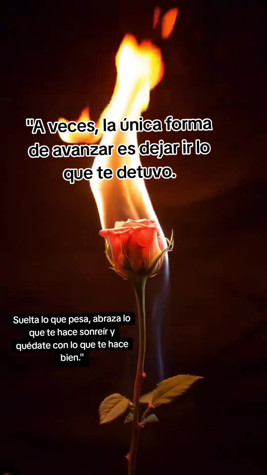 @lulita