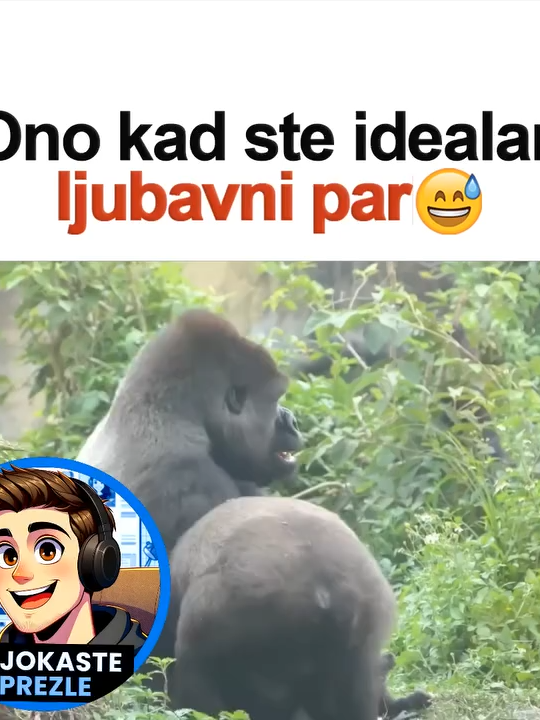 @ŠljokastePrezle