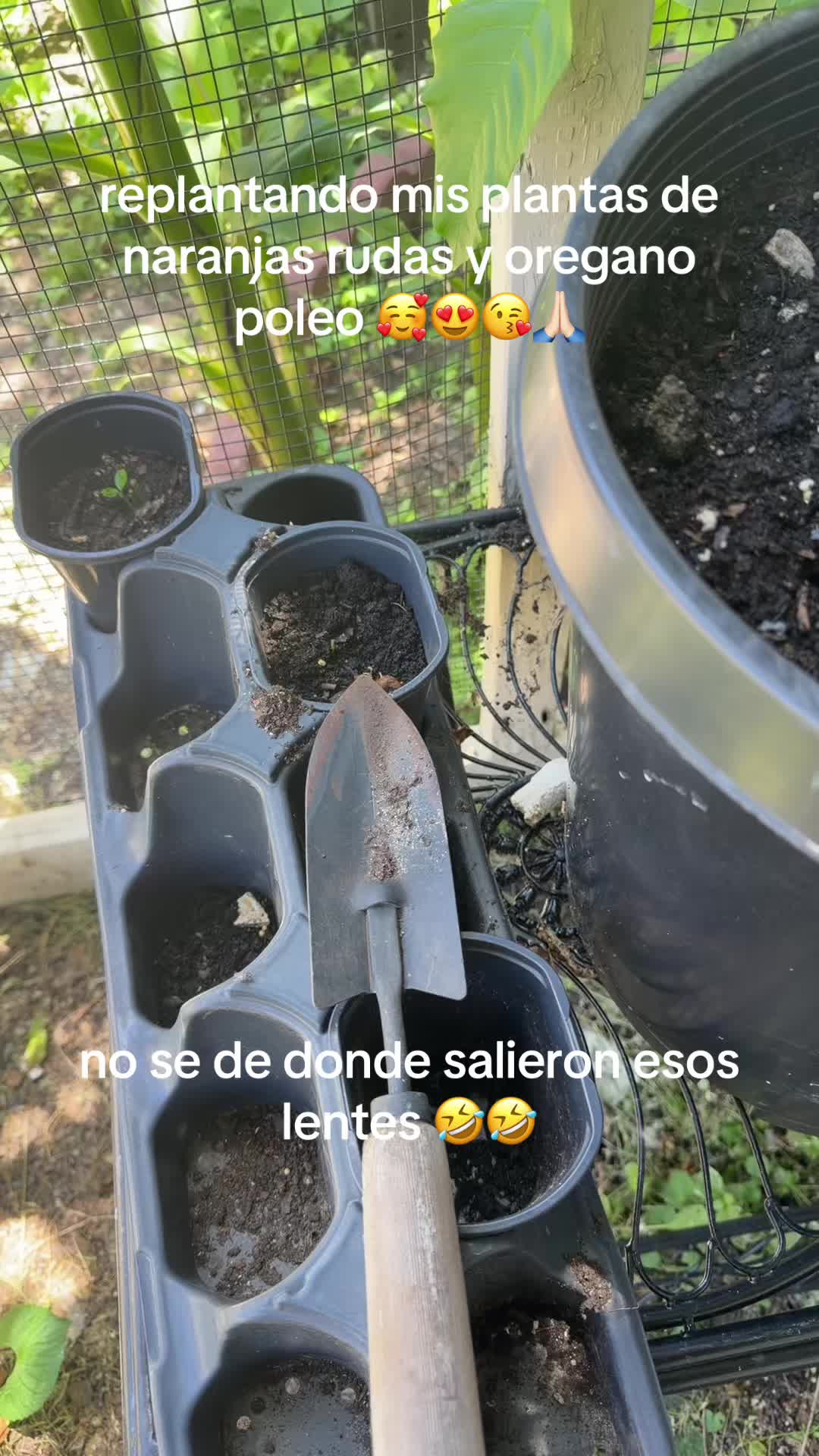 @Margarita Valdez