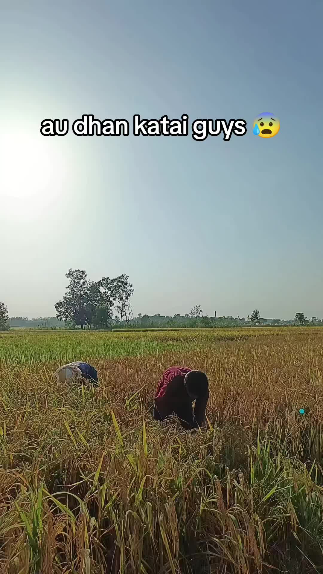 @viral_kto_ma