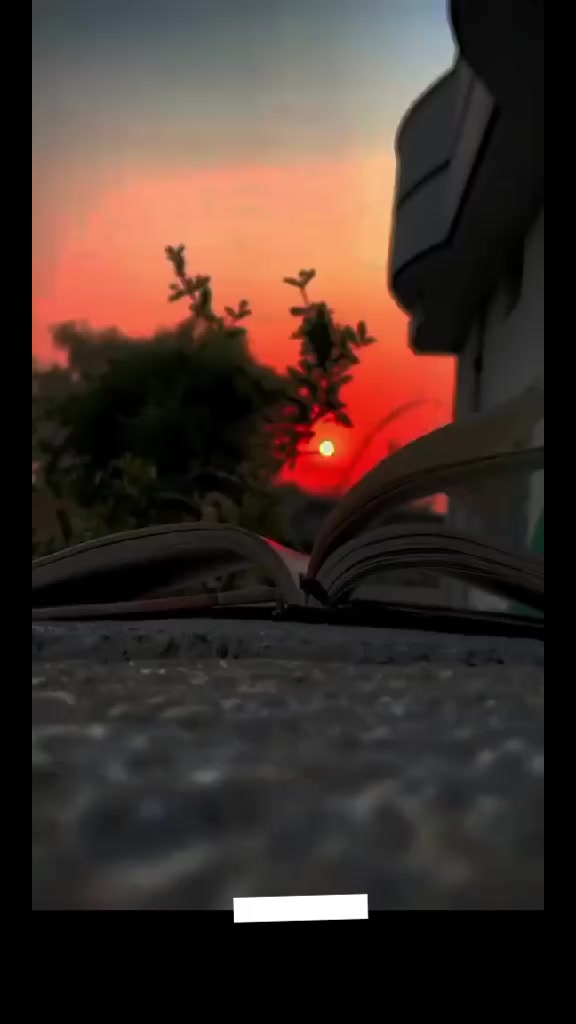 @🕊️ماہی راجپوت 🥀♥️