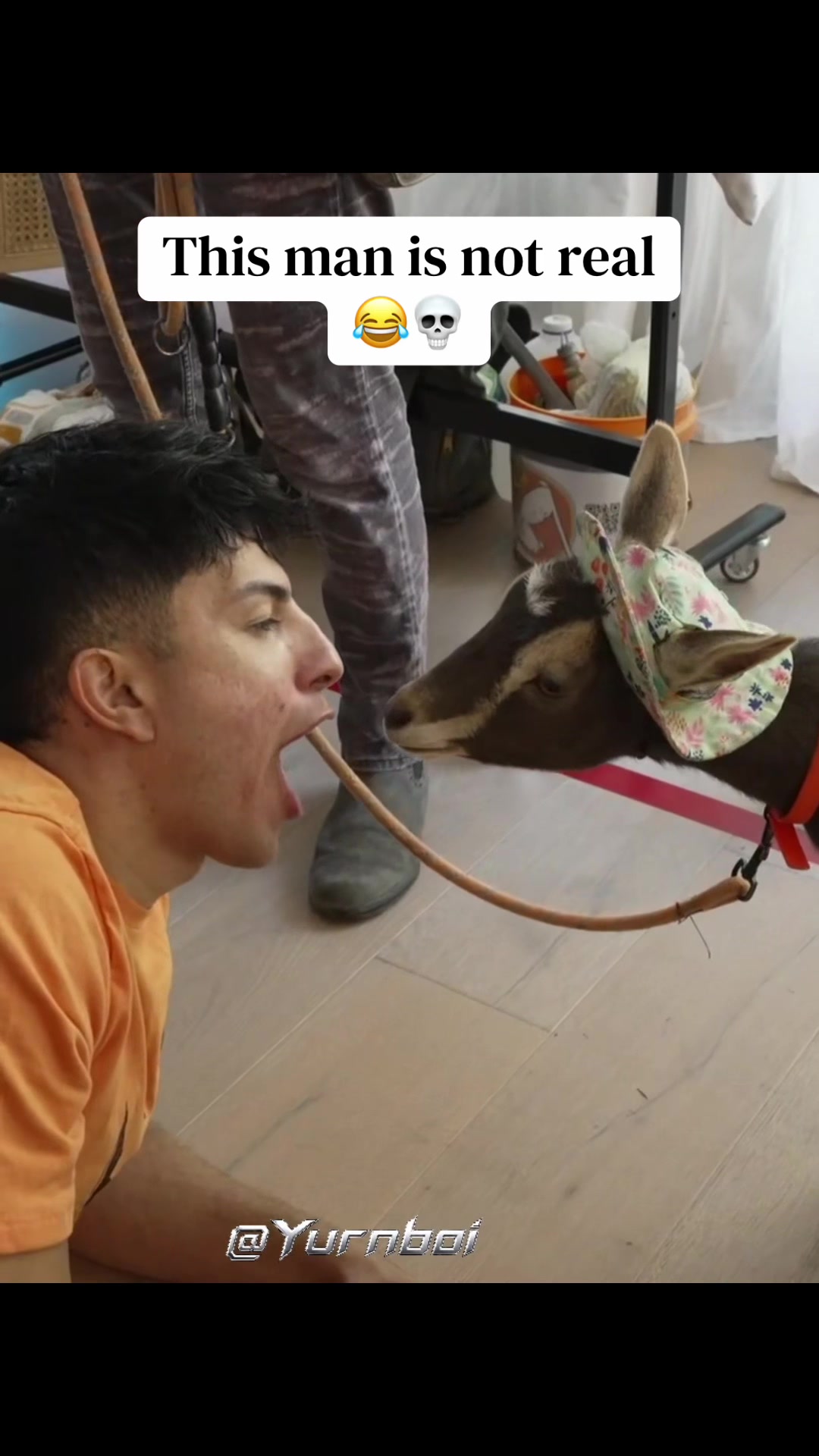 @clipsofjeve