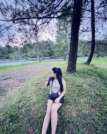 @softputry