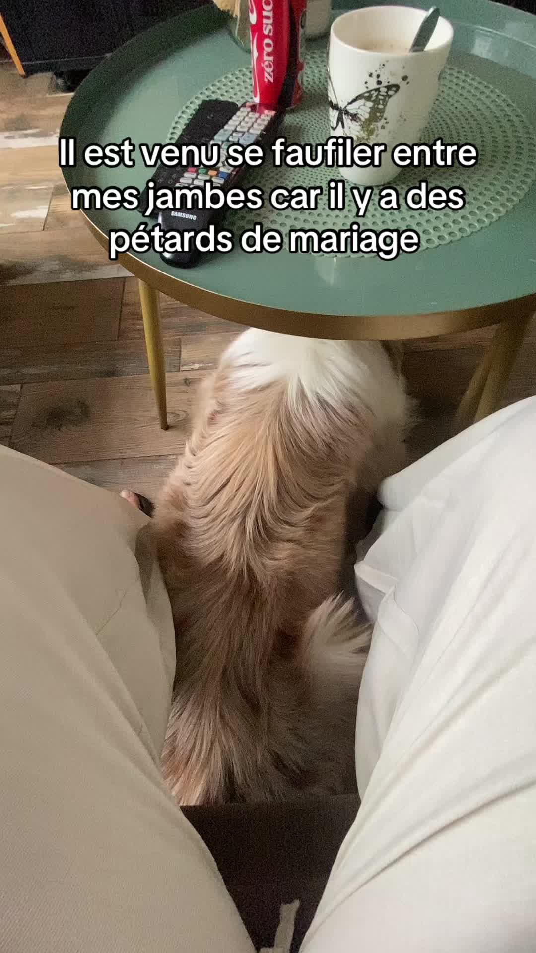 @Sucresandy