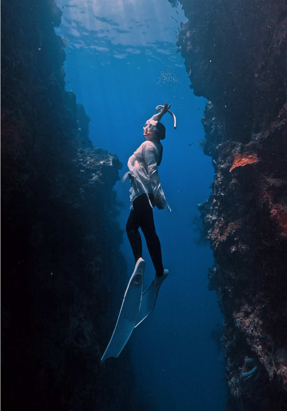 @divewith_eyJ