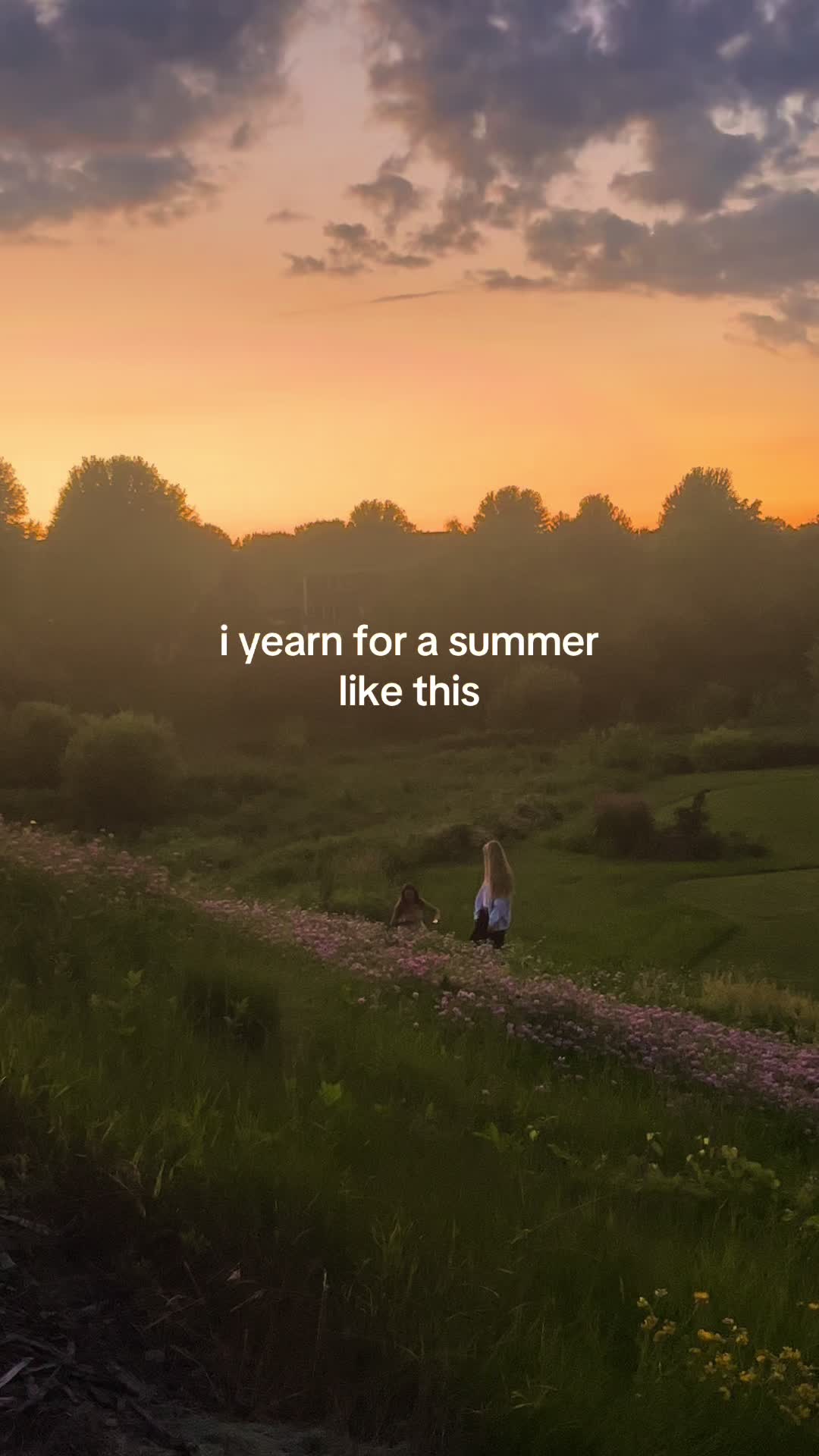@nina