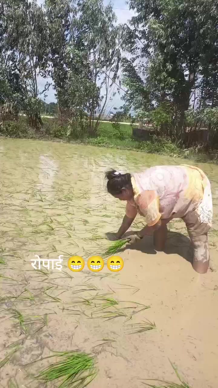 @Ro Shani