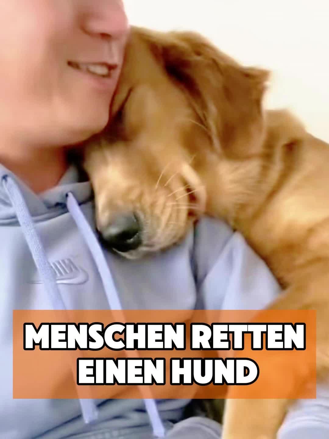 @toto_tier