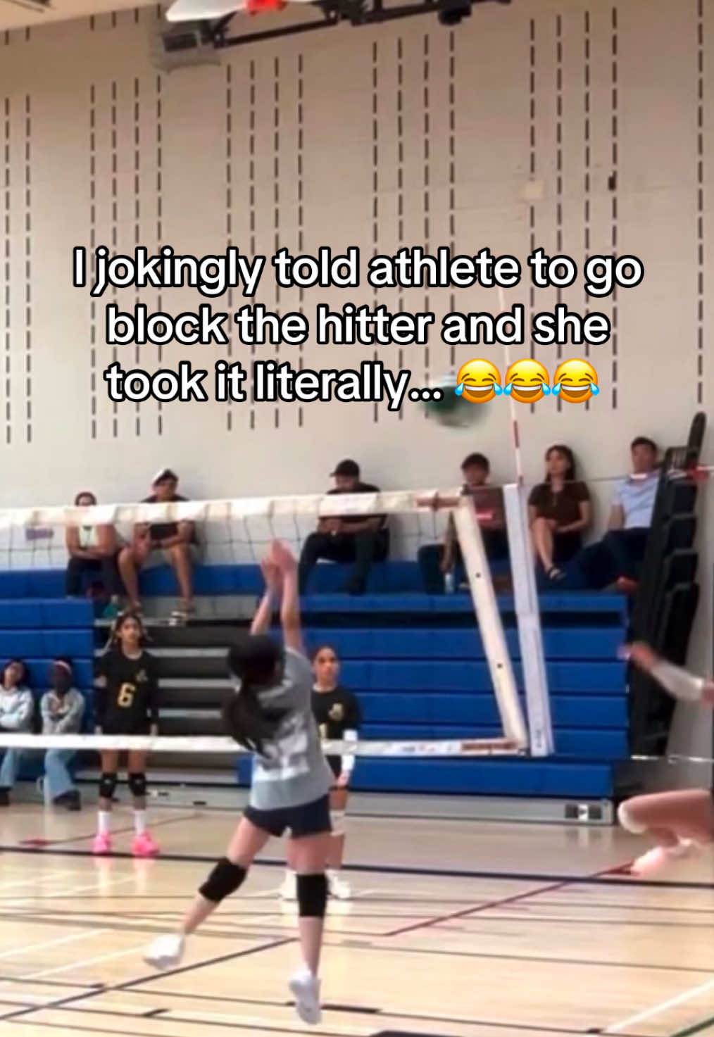 @dr.vballer