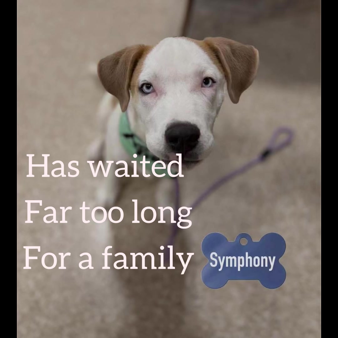 @Friends Forever Animal Rescue