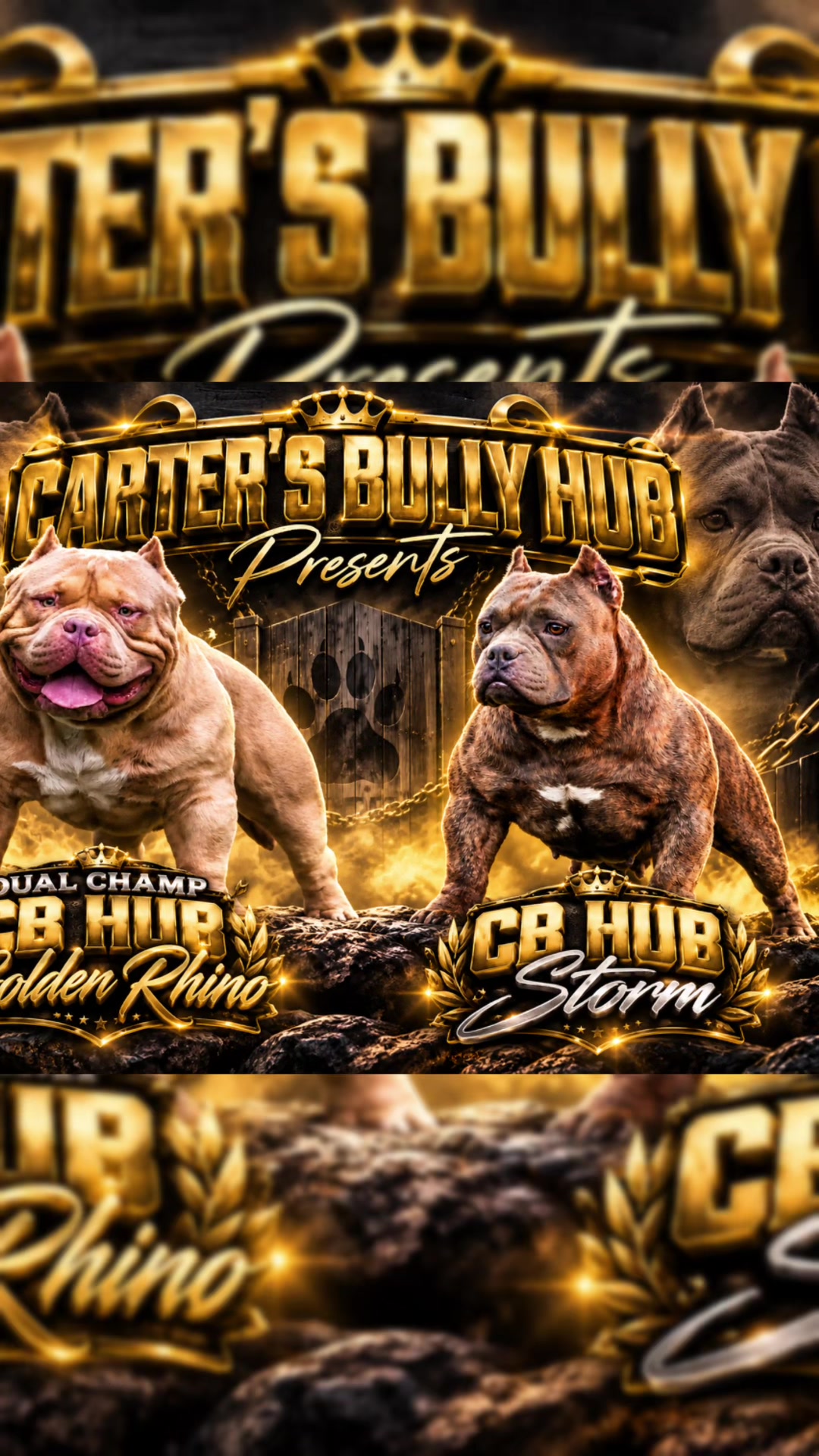 @Carters BullyHub