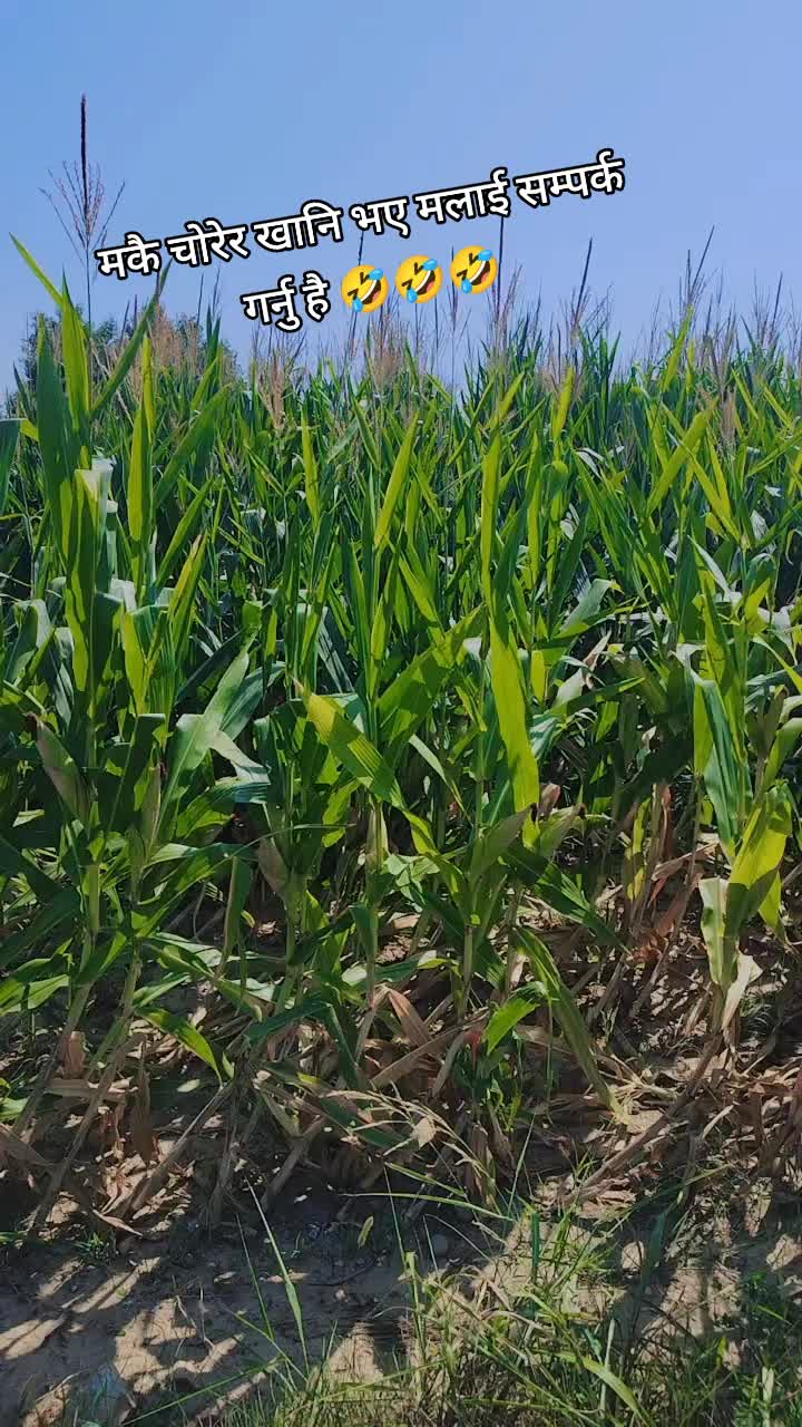 @PaThAk GiTa 🇳🇵🫶🇮🇹