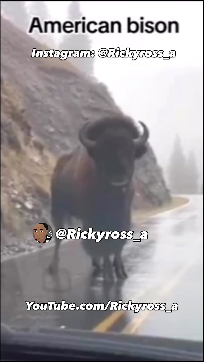 @Rickyross_a