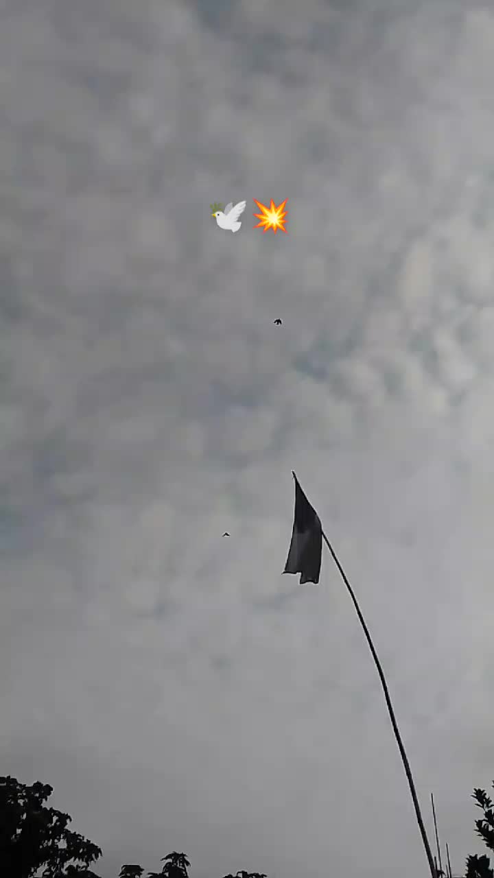 @๐๐