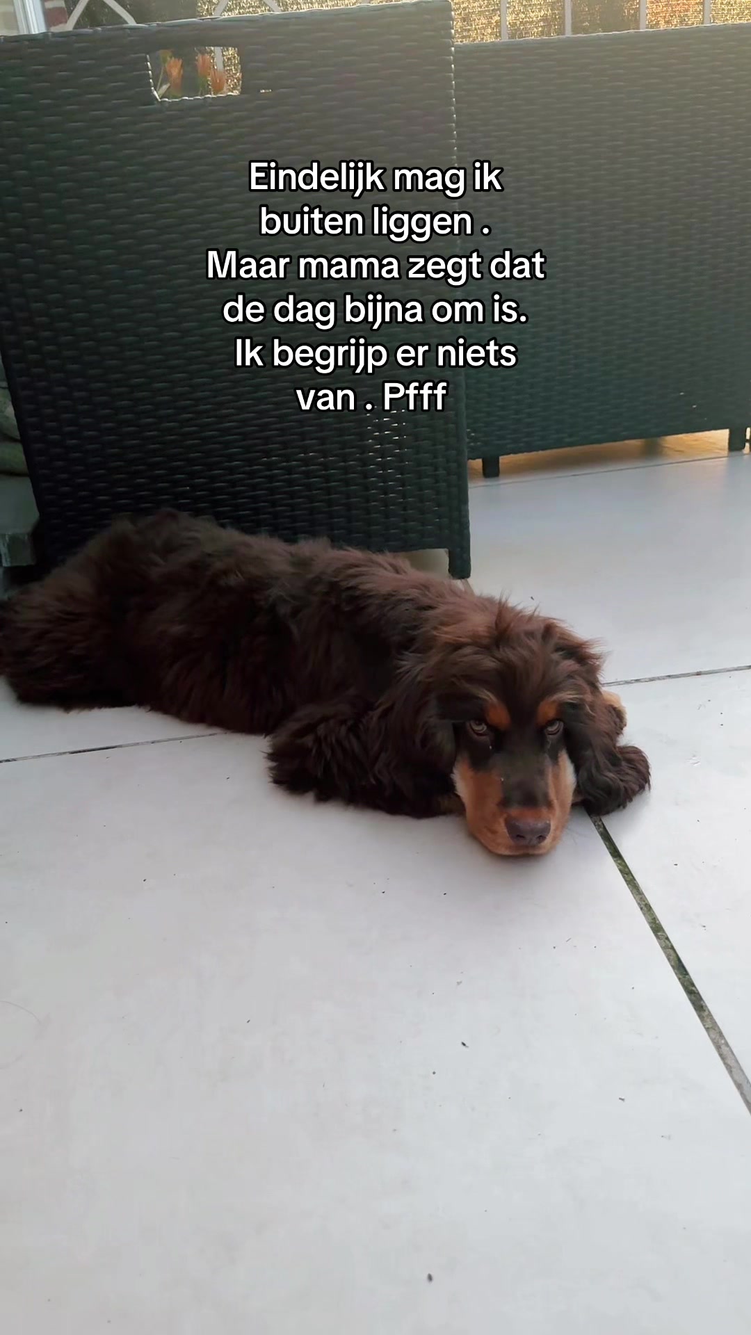 @Liers  Vlaaike 🇧🇪