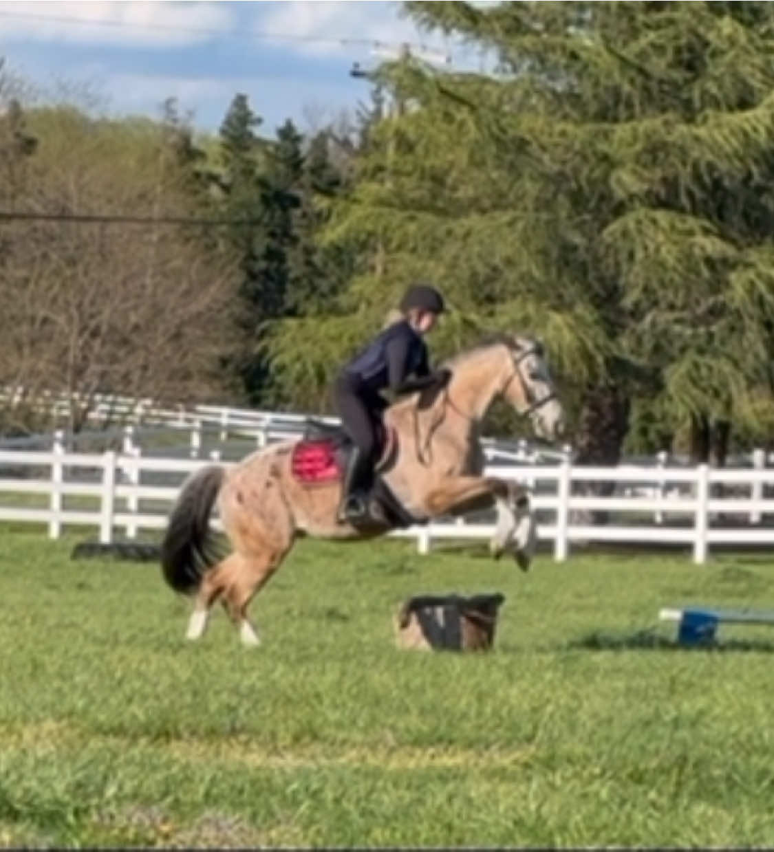 @Equestrian 🐴🐎
