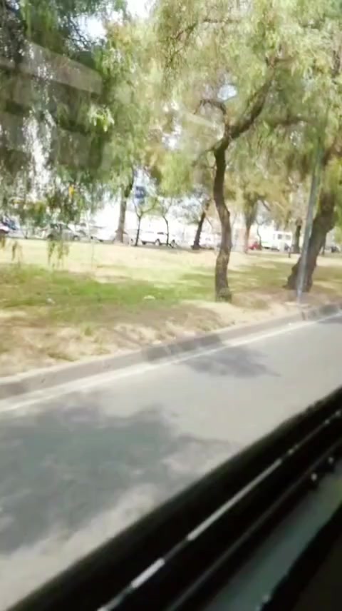 @Vidal £§kot