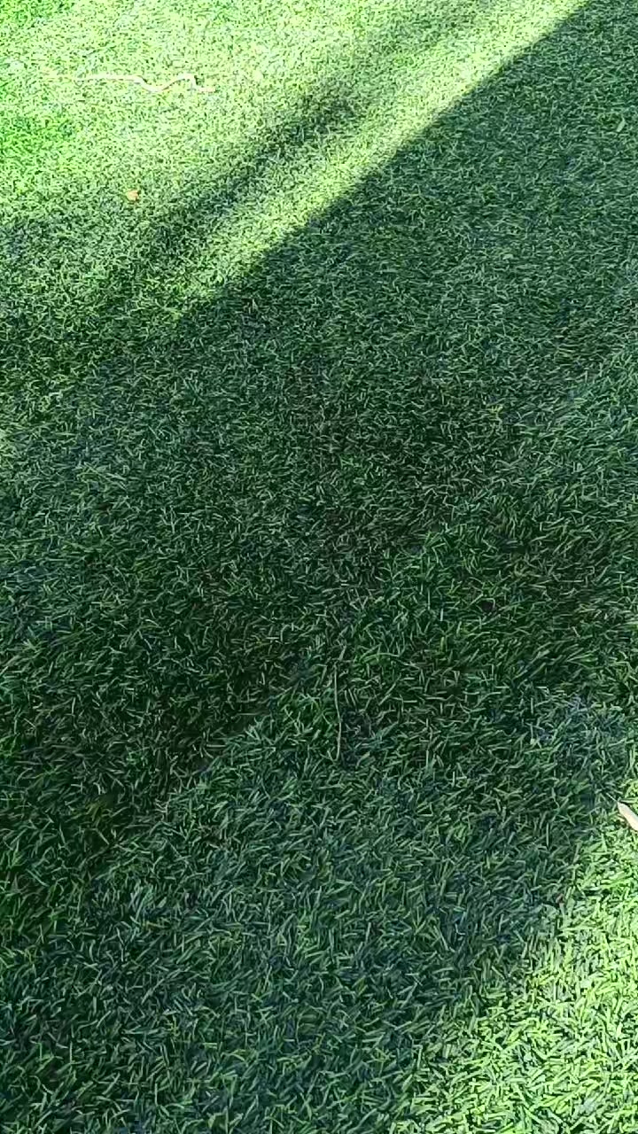 @MontiShoG