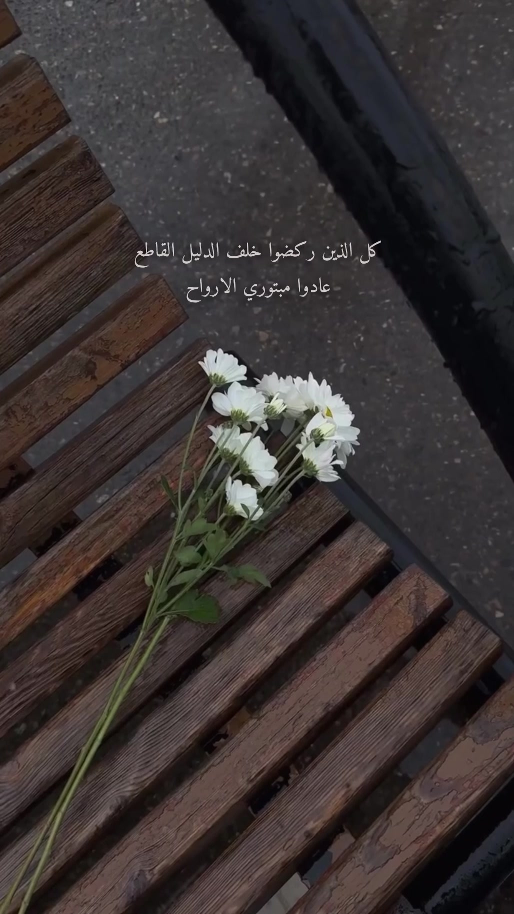 @.♔