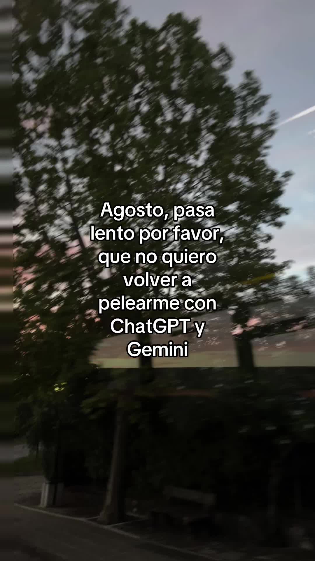 @Ana Cielo