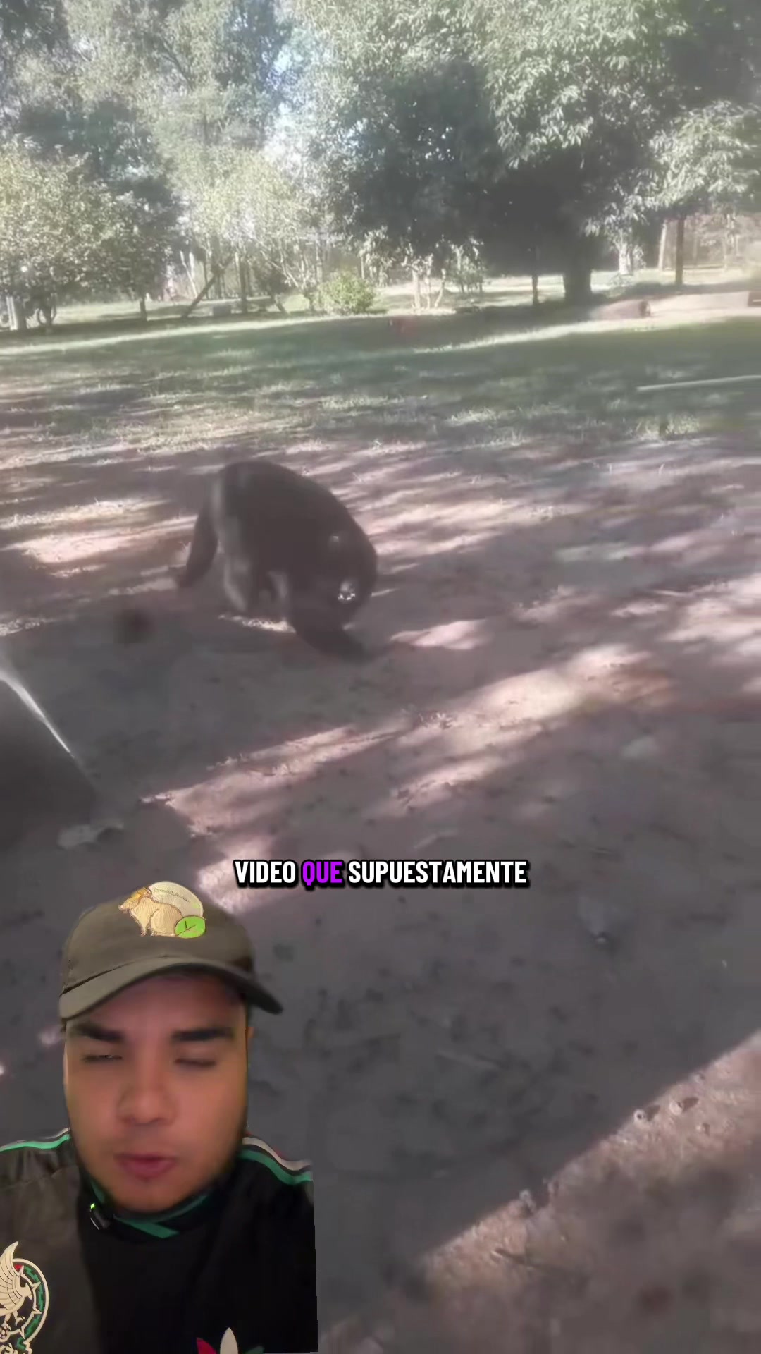 @Jair Herrera 🐆