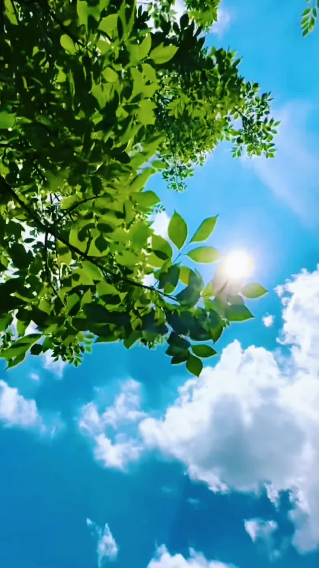 @MIGЦΣᄂ ΛПGΣᄂ