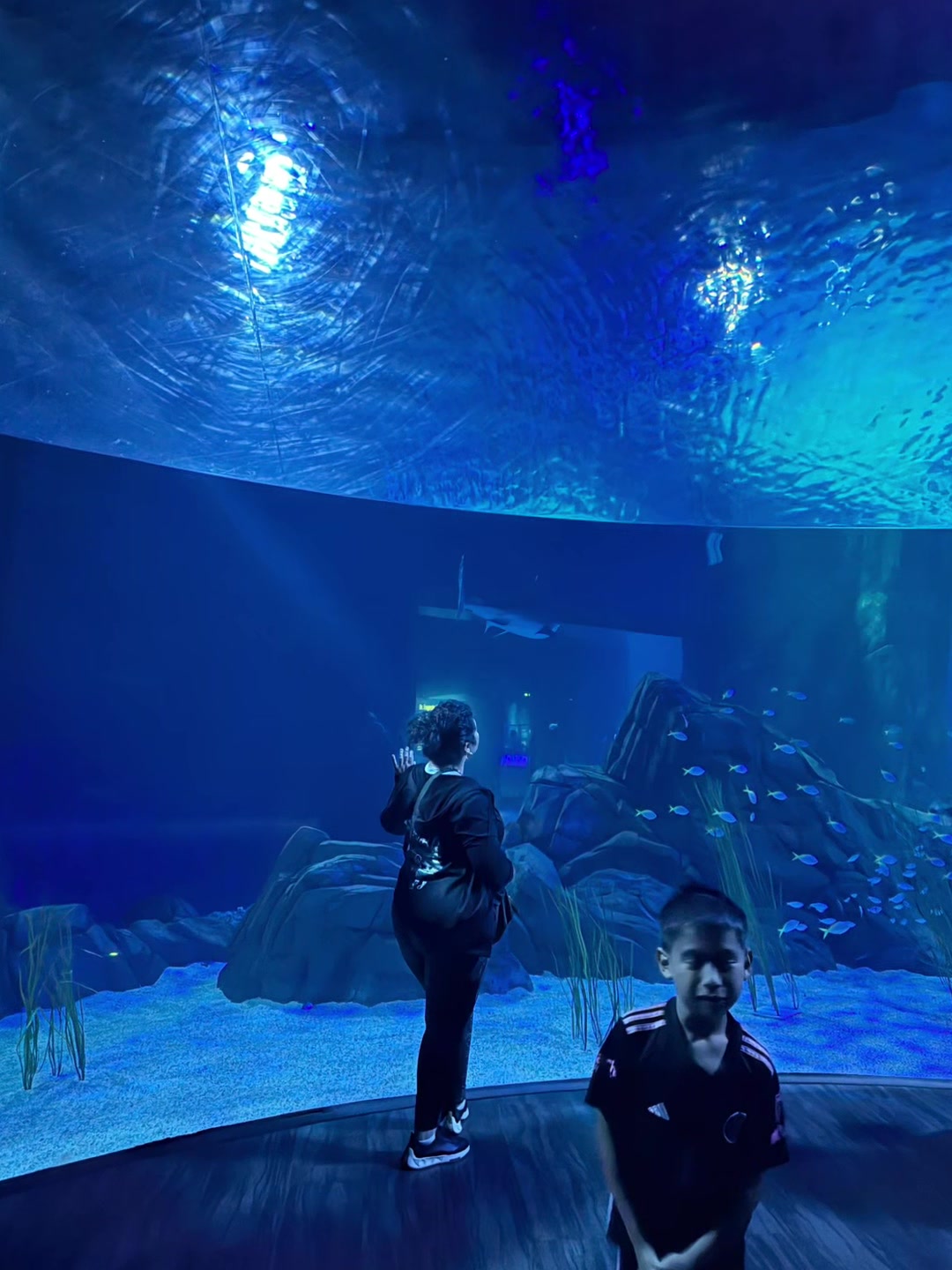 @RUBI .YOLO.TR