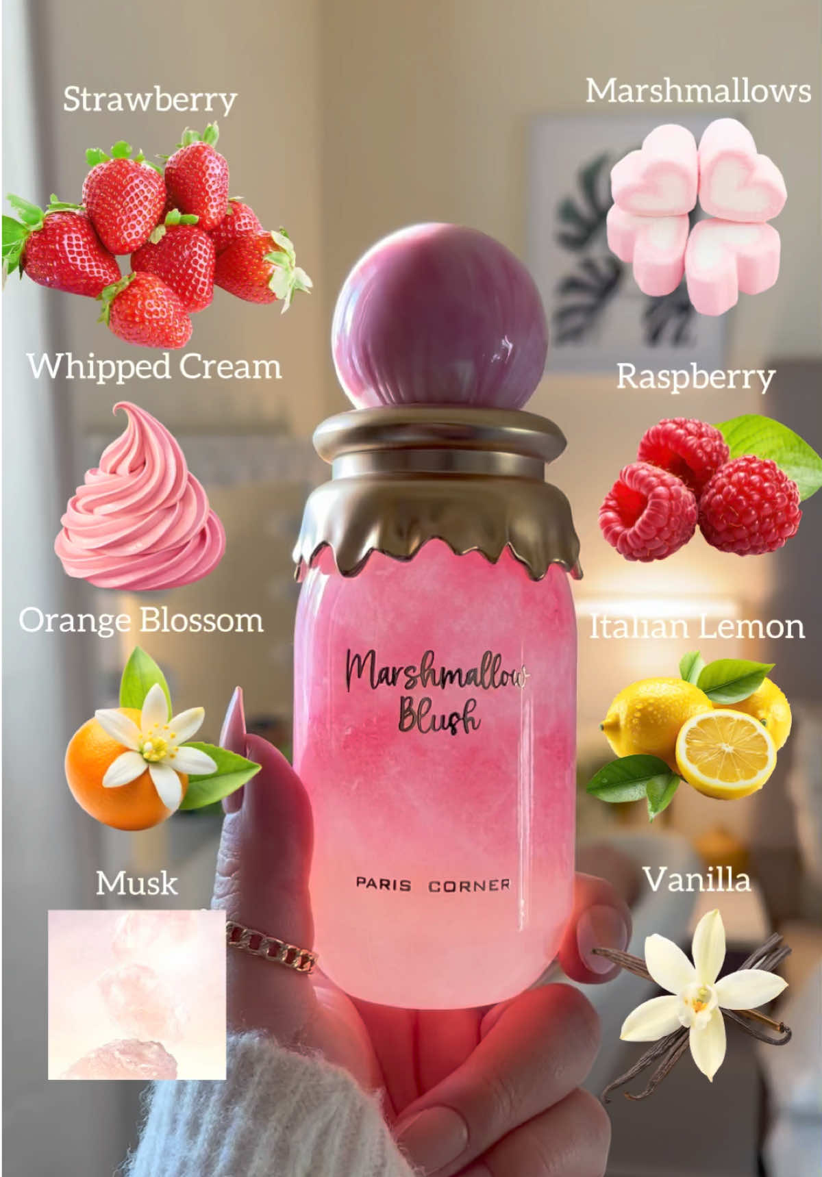 @Gabby Fragrances 🌸