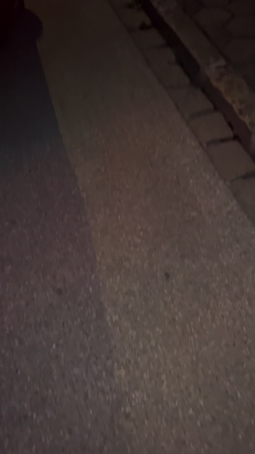 @DerAlbanerAus04