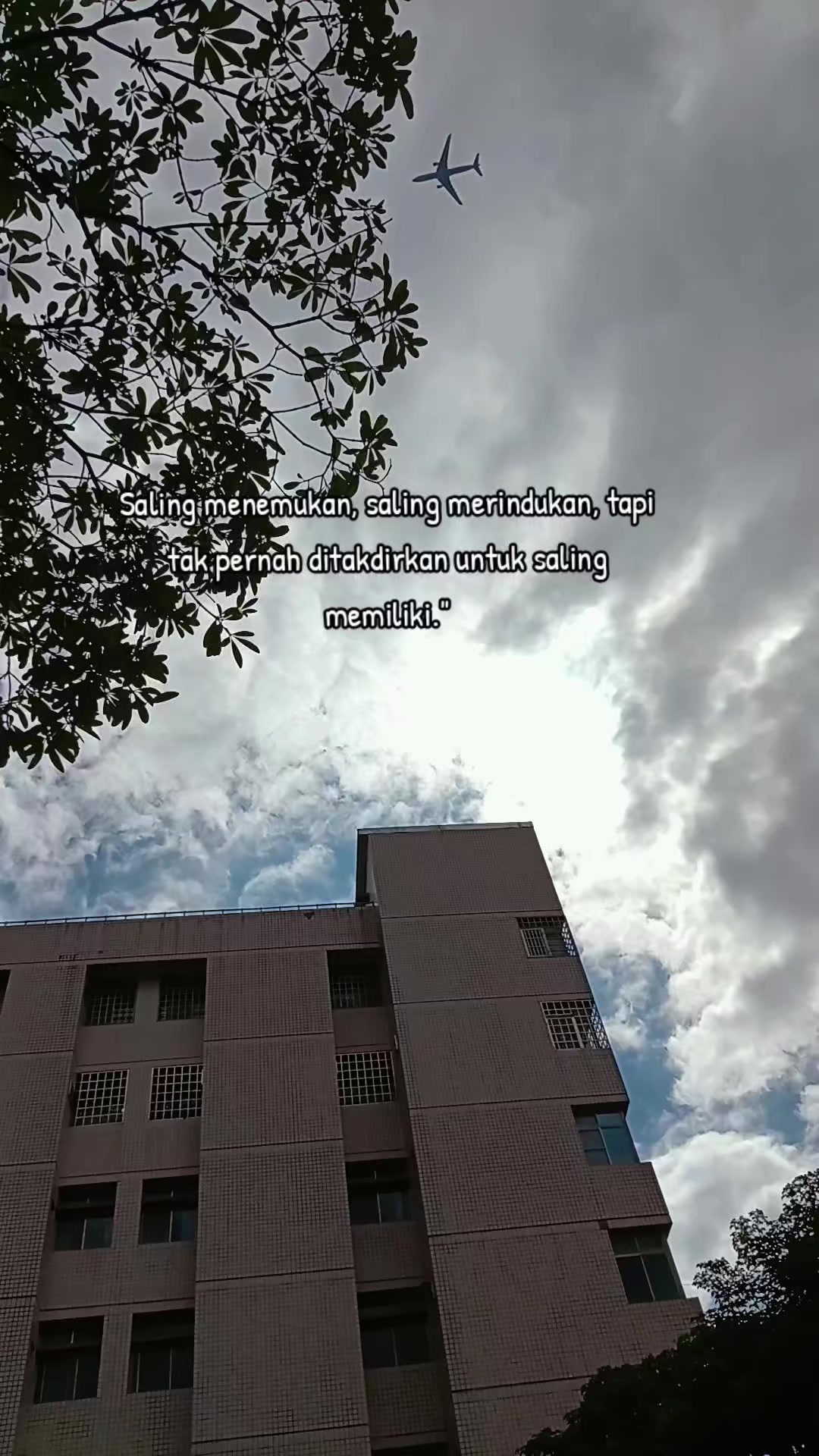 @Alisyafebriyani5 🇹🇼