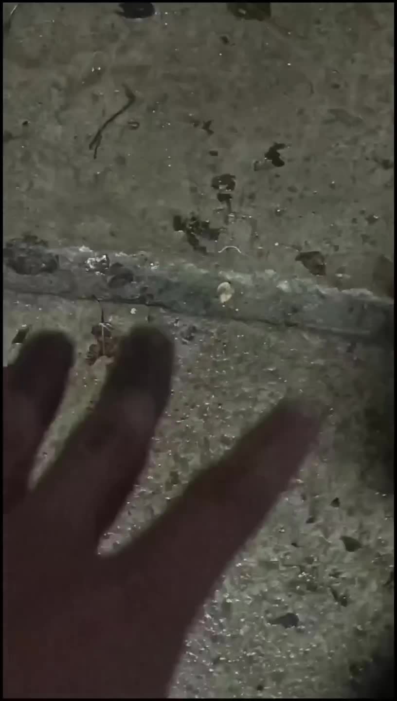 @ᚺᛊᚺᚤᛒᛋᛈᛠⰓ