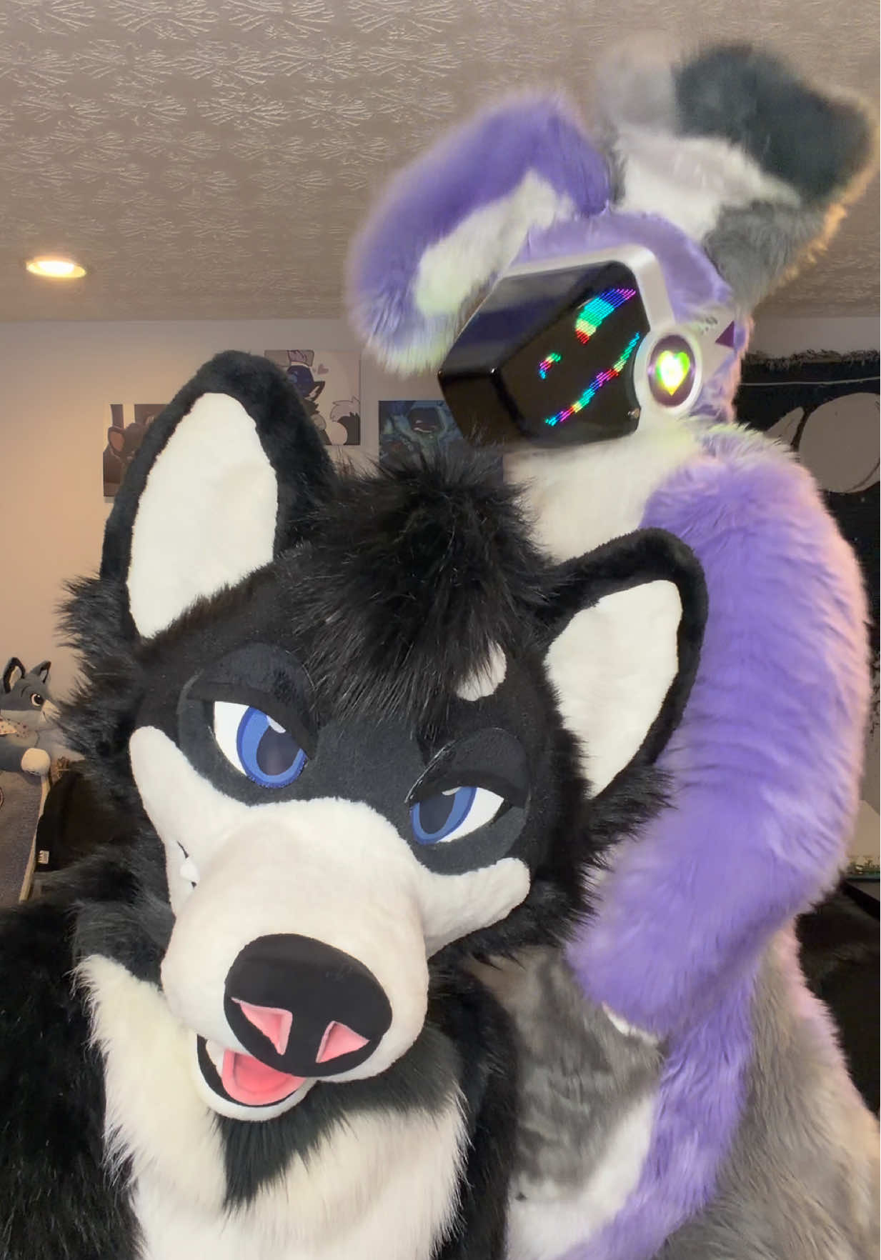 @SnowZard 🔜 FWA