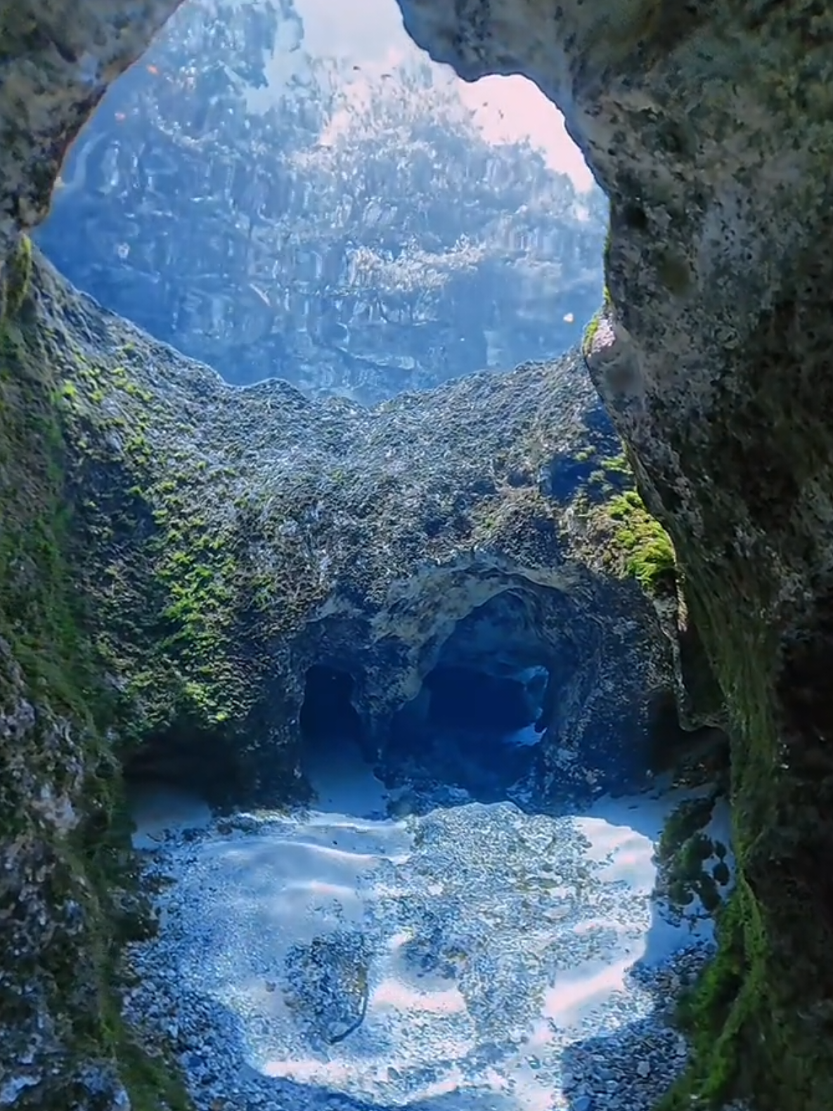 @𝓐𝓼𝓱𝓵𝓮𝔂🧜♀️✨️