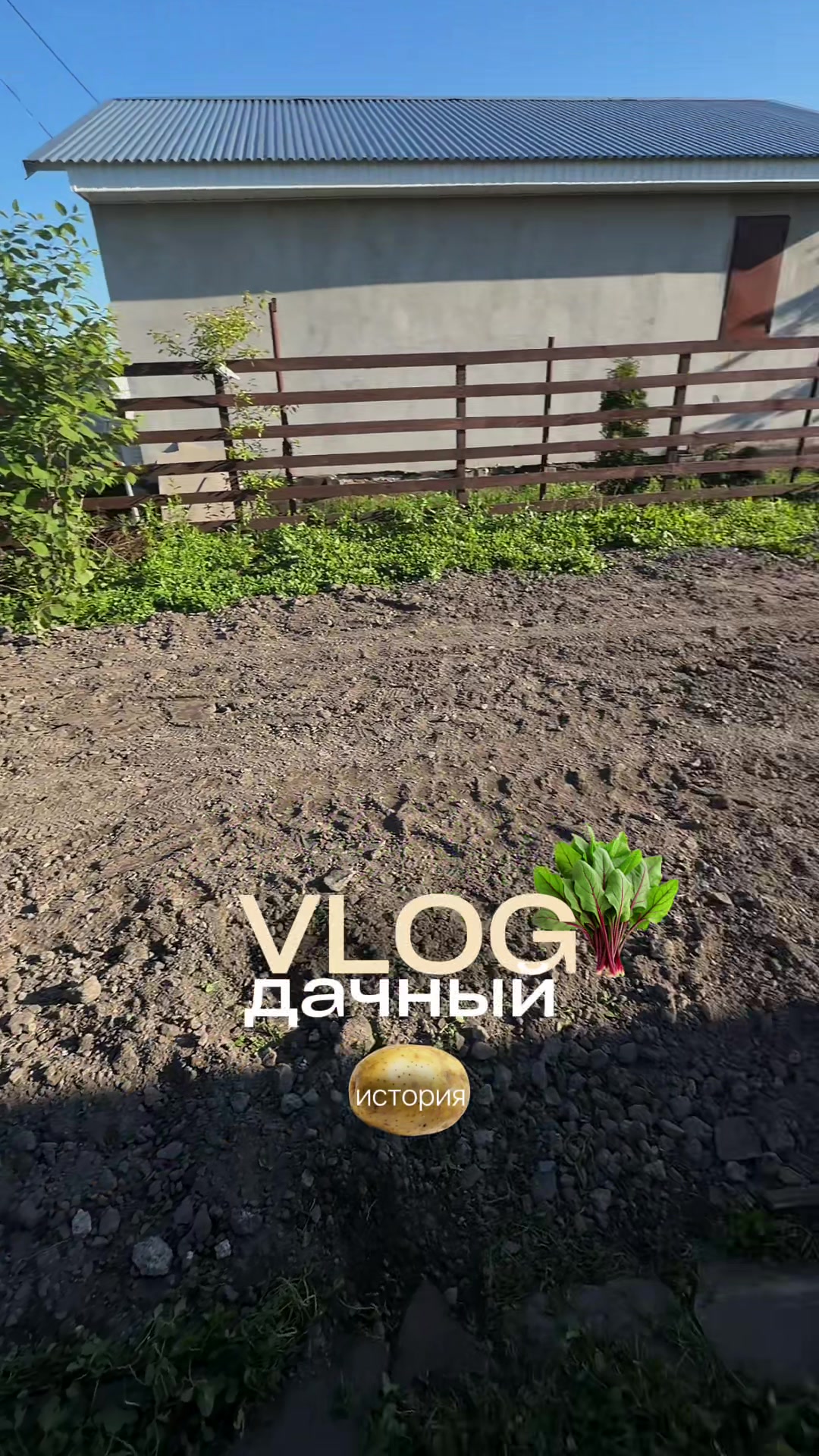 @тгк: Викочка нашла