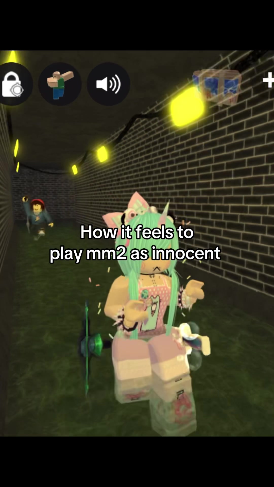 @novenhopz