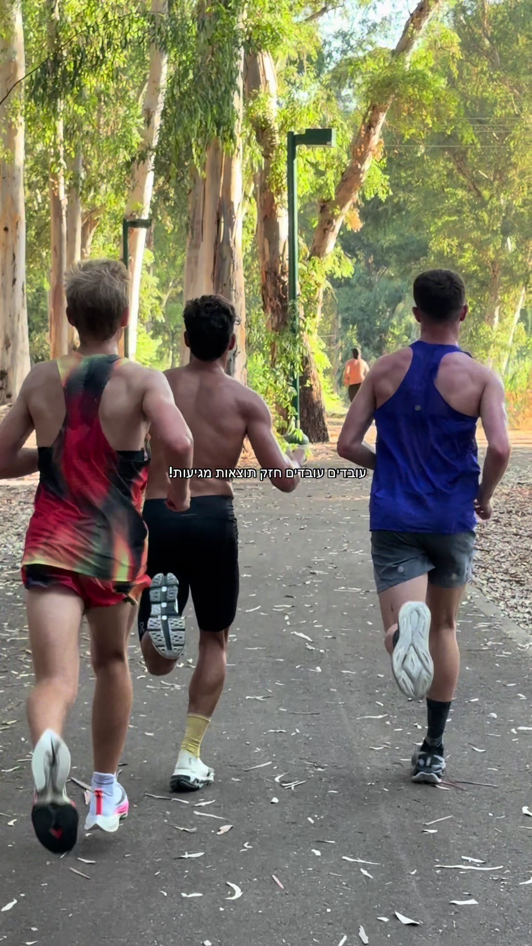 @talavidan_runner