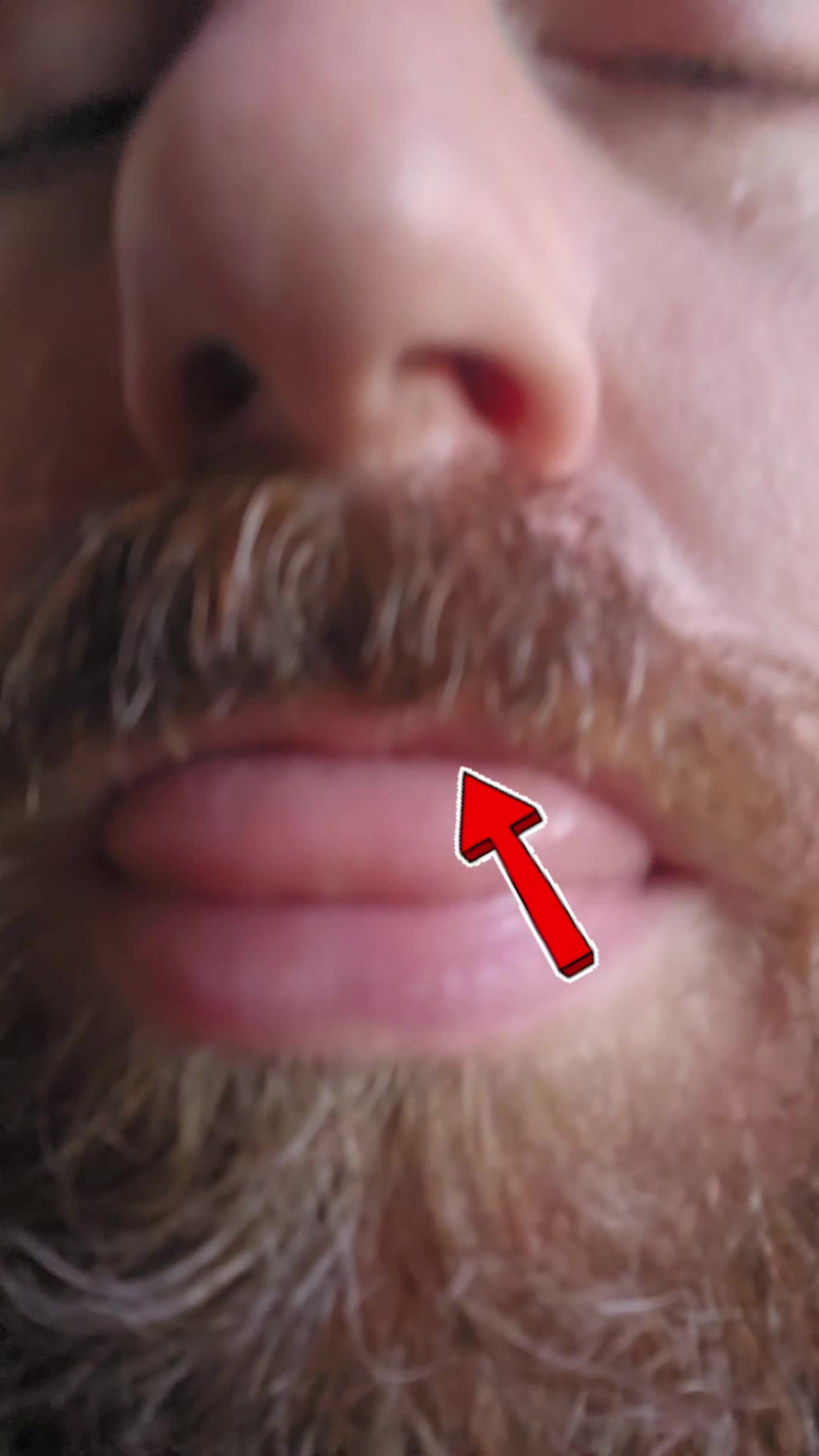 @BiggestTasty
