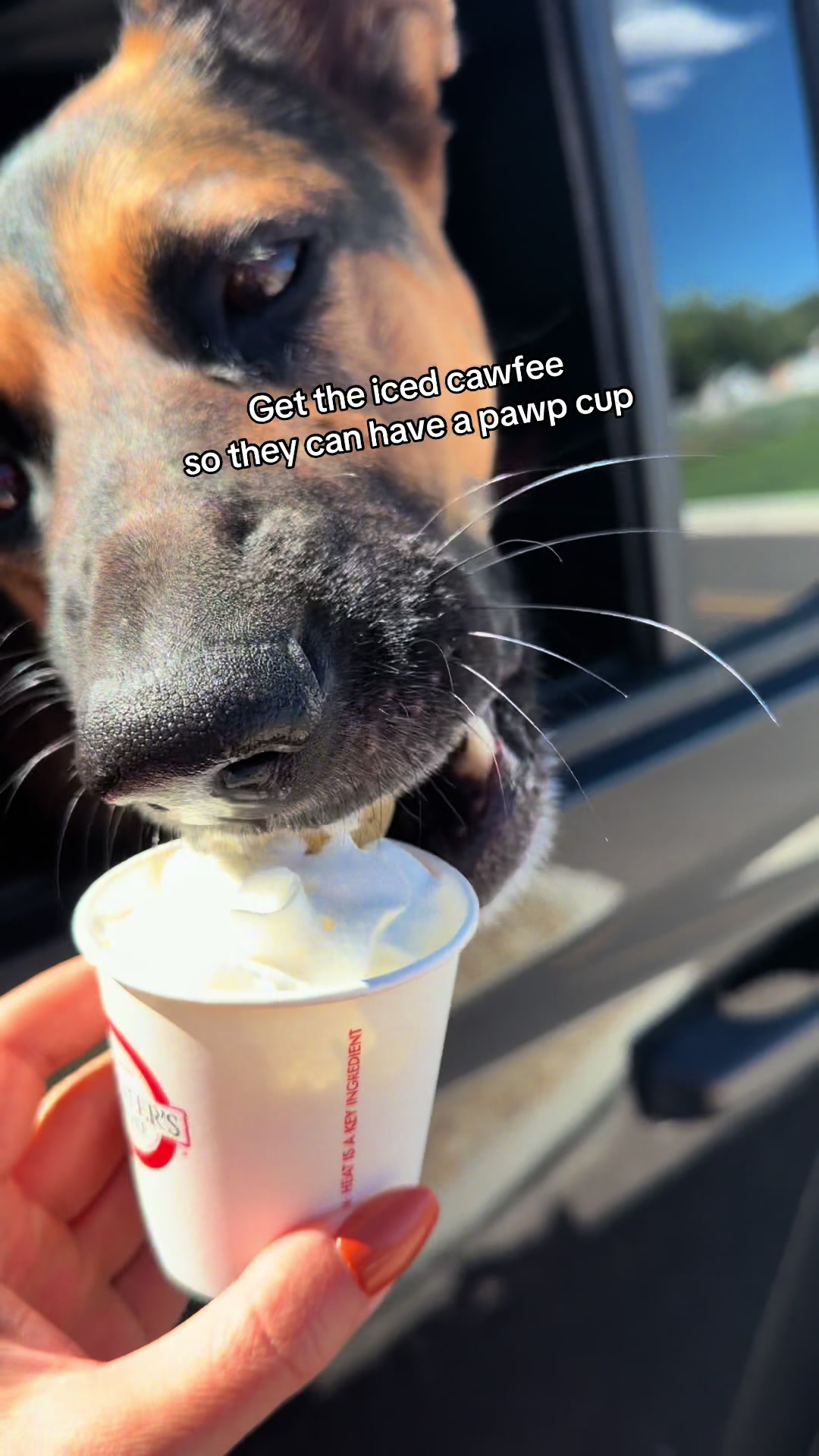 @Rory The Not-Working GSD