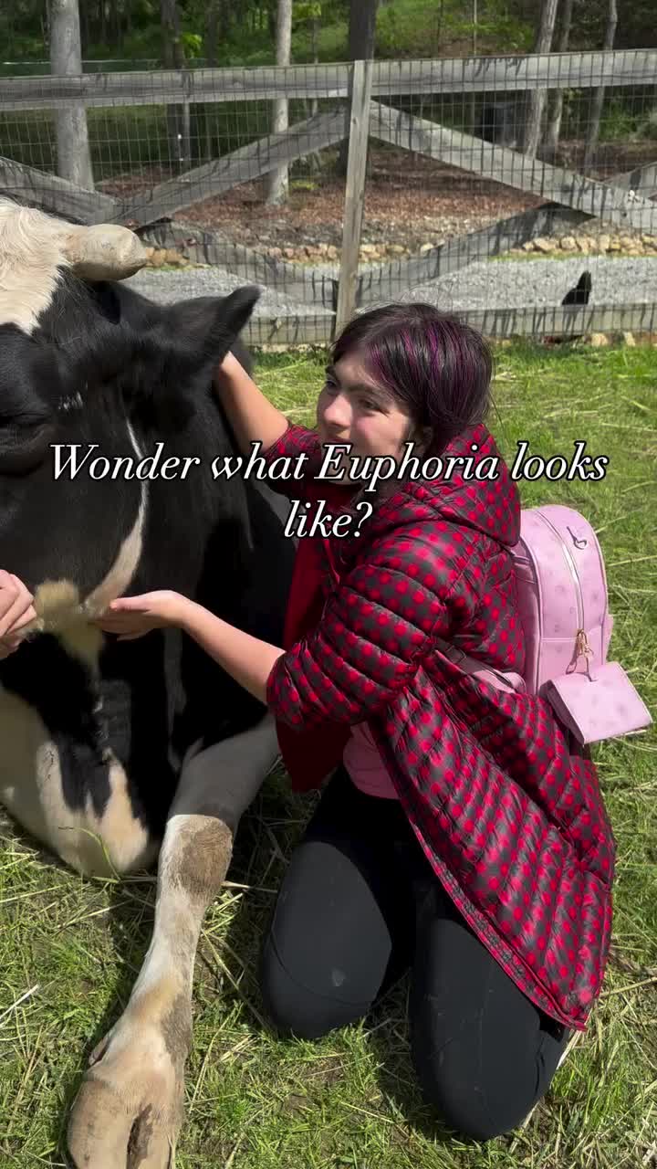 @Hidden Acres Animal Sanctuary