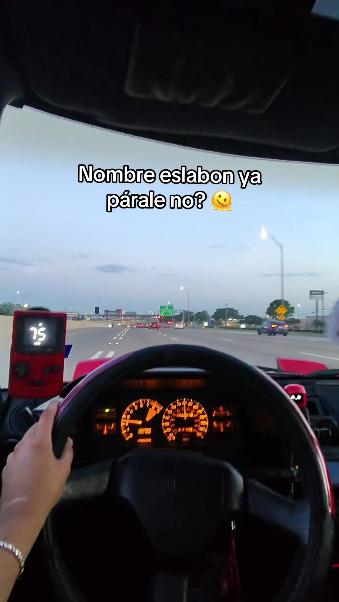 @Gatito😸