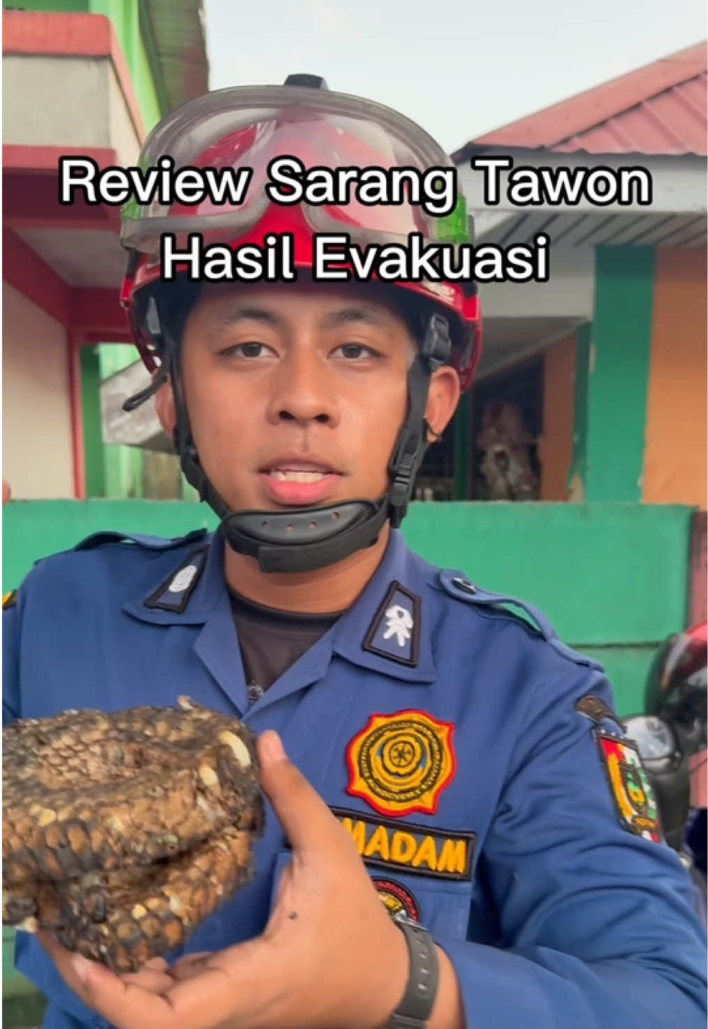 @katanyadamkar