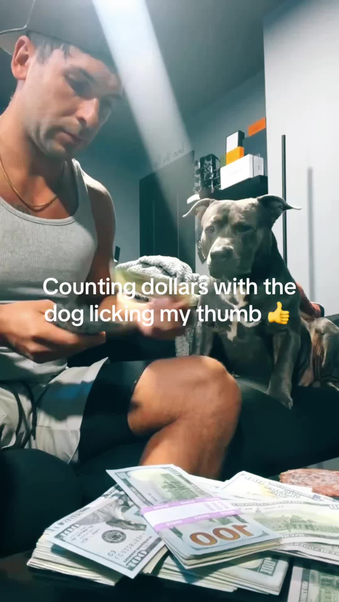 @dogalerthub
