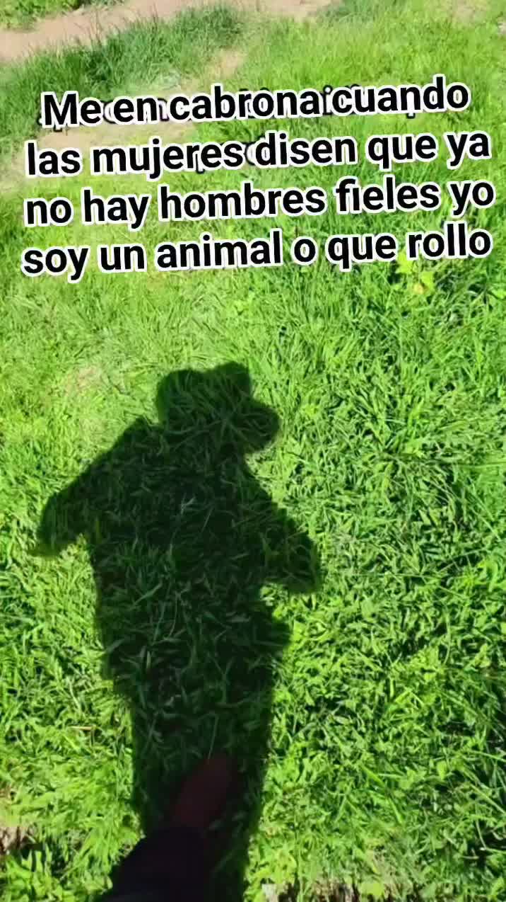@Pedro salvador